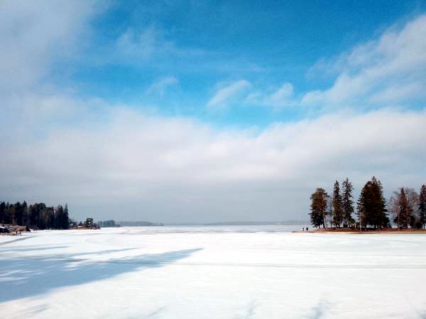 проекты загородных домов
